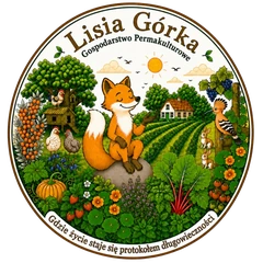 Logo Lisia Górka